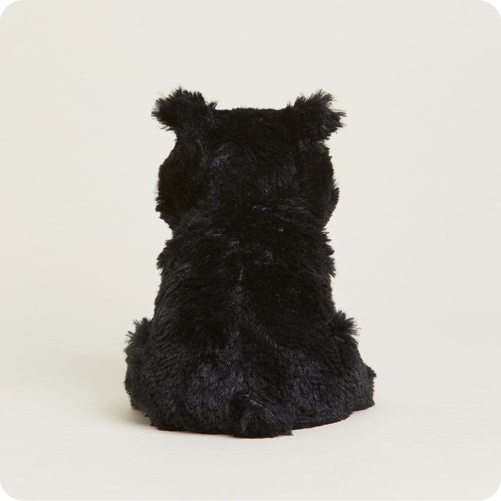 CPJ-BEA-4-Black-Bear-Junior-66-1