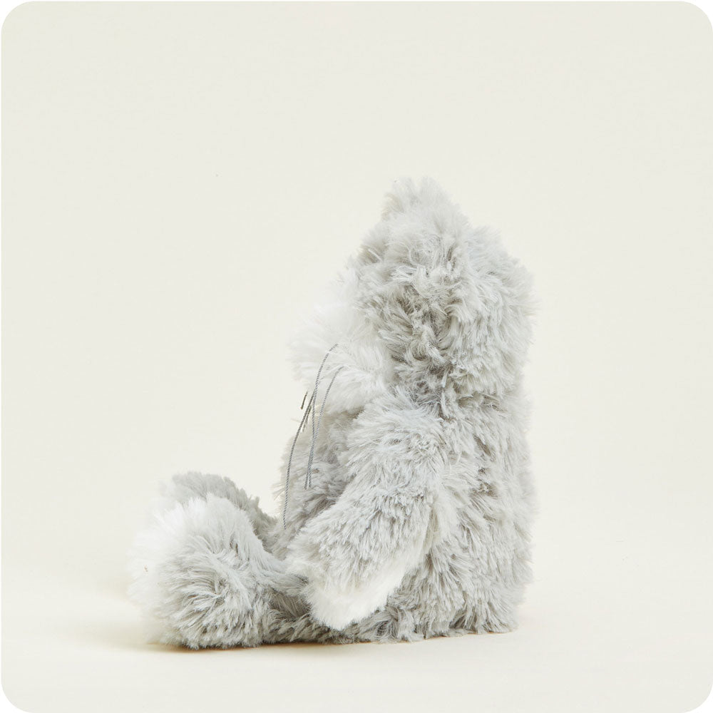 CPJ-CAT-1-Cat-Junior-Junior-3-Crop_f2f7615e-df21-4977-b73c-2c1c8aba6d22-1