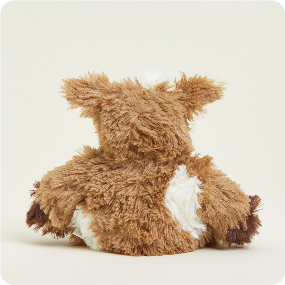 CPJ-COW-1-Cow-Junior-07-Crop_2d890bf6-d97b-49c0-bf8b-b7ac8827953a-1