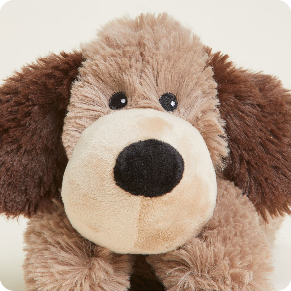 CPJ-DOG-1-Brown-Dog-Junior-02-1-1