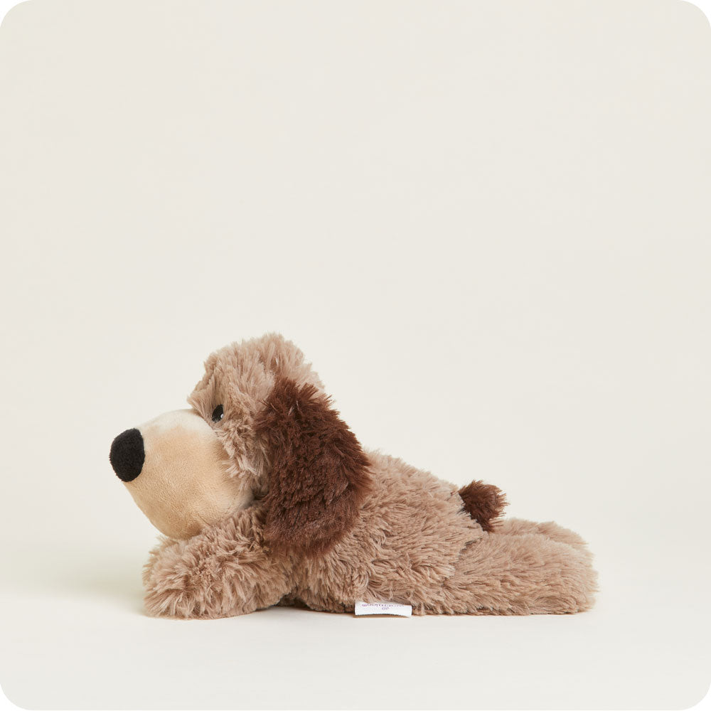 CPJ-DOG-1-Brown-Dog-Junior-05-1