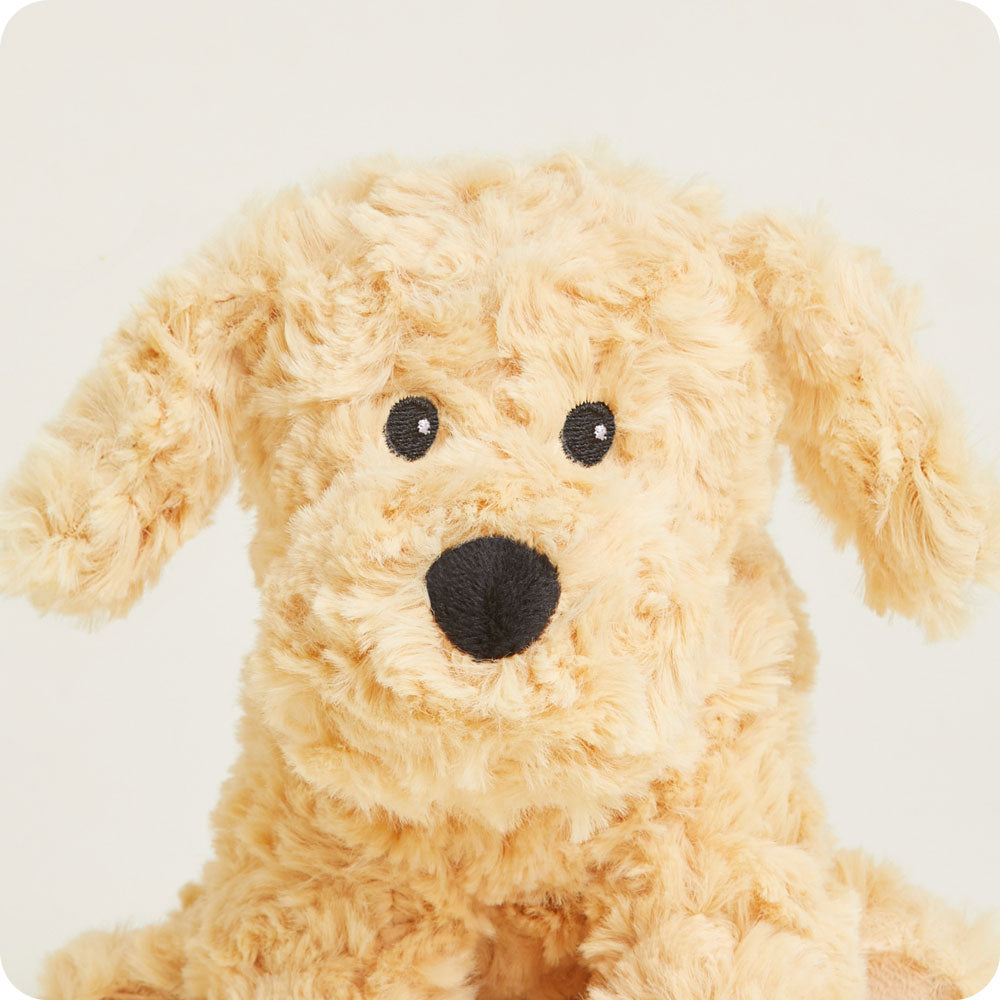 CPJ-DOG-3-Golden-Dog-Junior-03-1-4