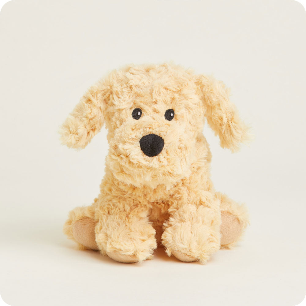 CPJ-DOG-3-Golden-Dog-Junior-03-3