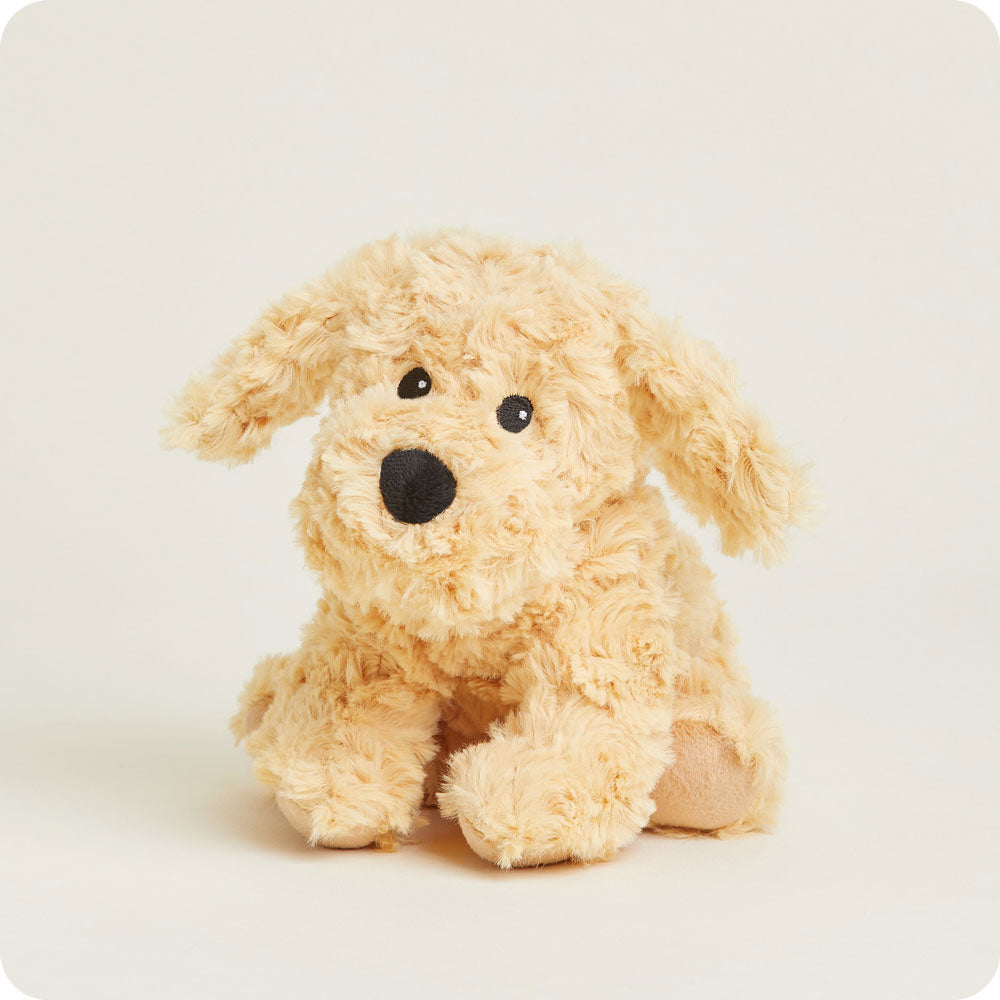 CPJ-DOG-3-Golden-Dog-Junior-07-1