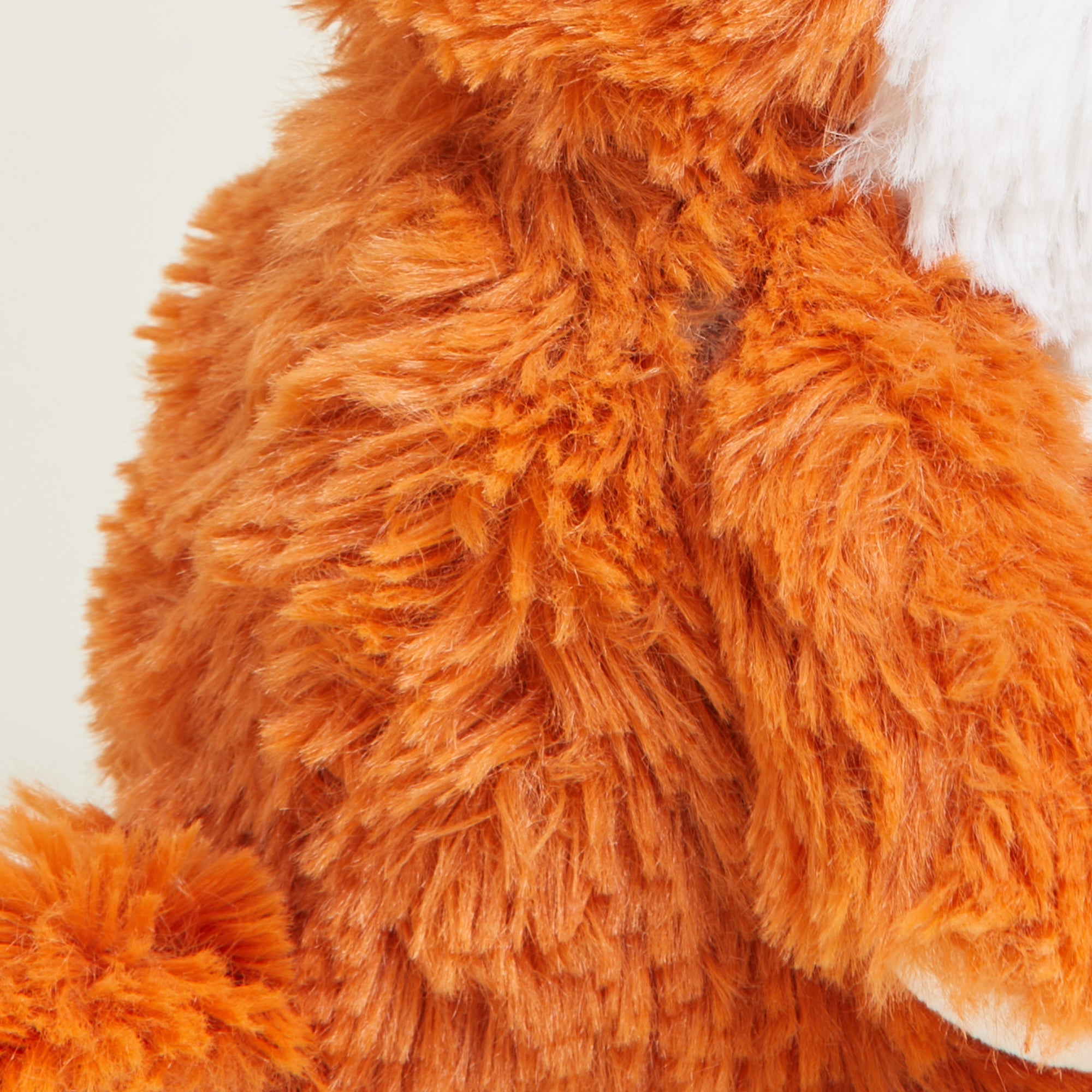 CPJ-FOX-1-Fox-Junior-18-1