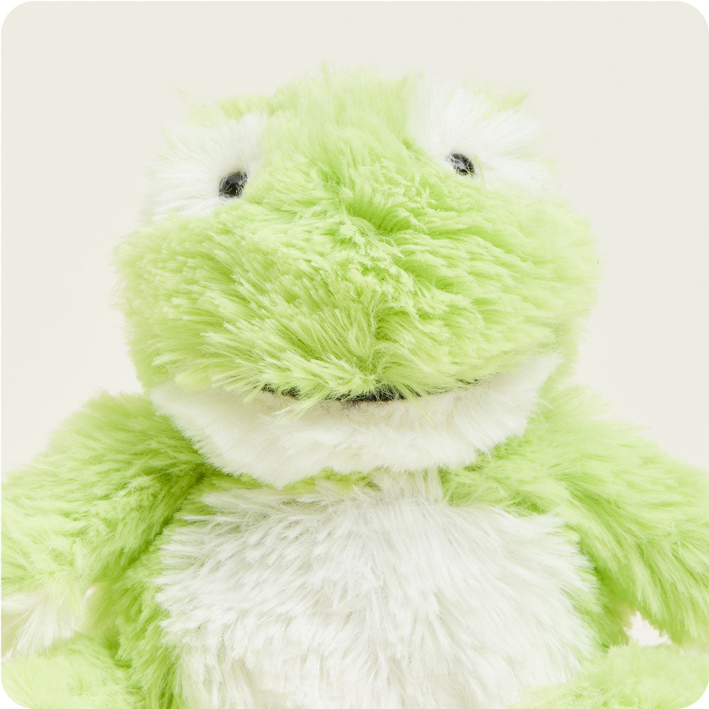CPJ-FRO-1-Frog-Junior-03-3