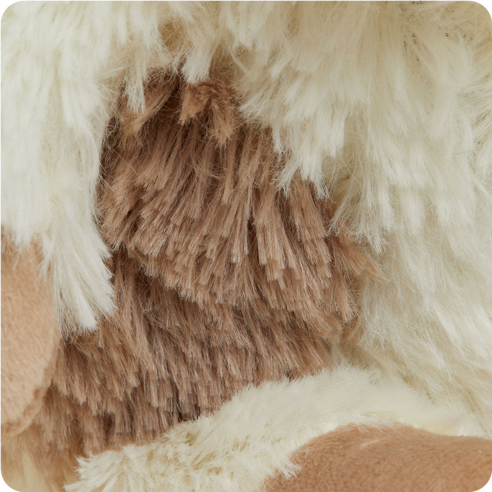 CPJ-PUP-1-Puppy-Junior-07-2