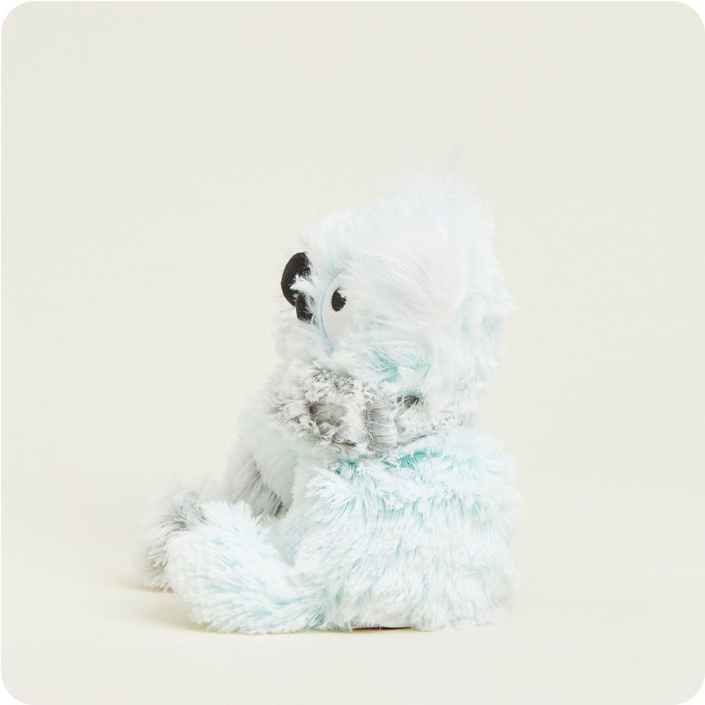 HUGS-KOA-1-Koala-Hugs-03-Crop-1