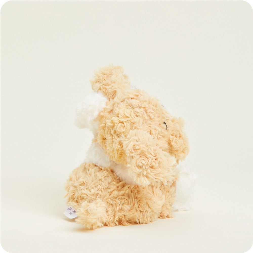 HUGS-PUP-1-Puppy-Hugs-05-Crop-4