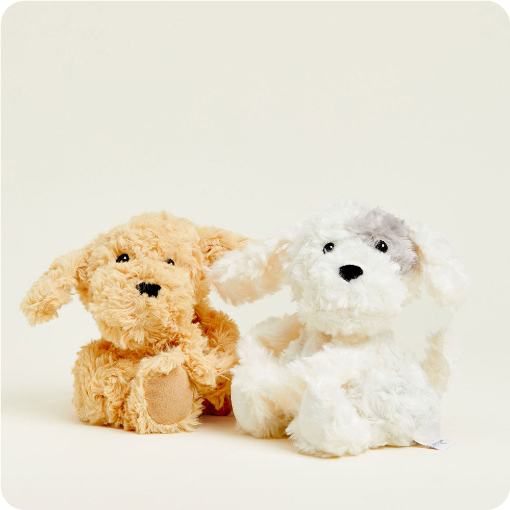 HUGS-PUP-1-Puppy-Hugs-06-Crop-3