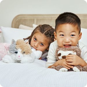 Unscented Calico Cat Warmies